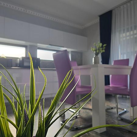 Casa Anastasia Villa Oradea Buitenkant foto